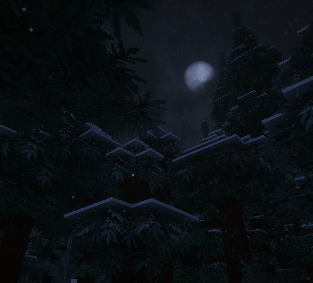 Spruce Forest